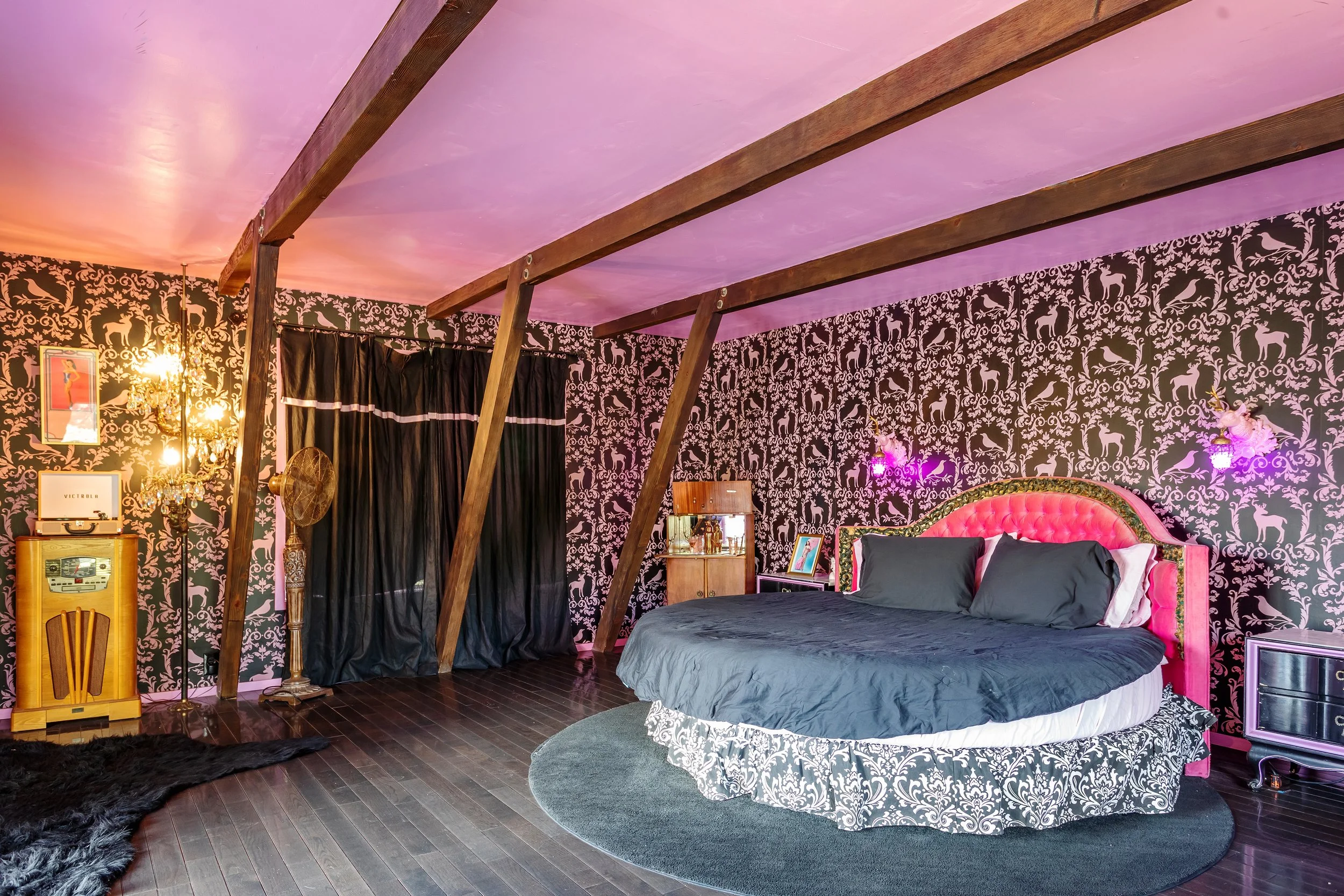 Book The Dita — Hicksville Pines